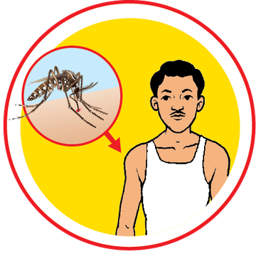 Dengue flyer 1-How to protect-final-02