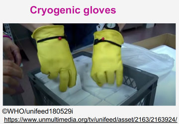 Mod2_PartB_Cryogenic Gloves