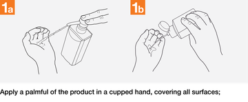 how-to-handrub-02.png