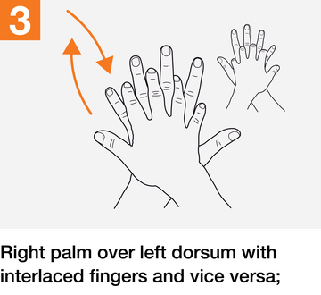 how-to-handrub-03.png